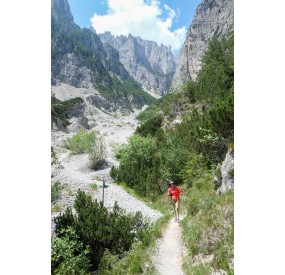 Uscendo dal bosco, si inizia a pestare ghiaia