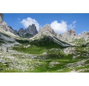 Il paesaggio postglaciale dell'alta valle Monfalcon di Forni